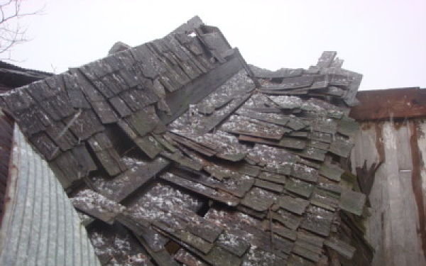 Collapsed wood shingle barn roof.